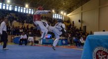 Balkan Taekwondo Şampiyonası